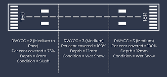 Global Reporting Format